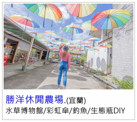 絕美單車路線!期間限定彩繪稻田、夏日煙花、荷葉飯DIY