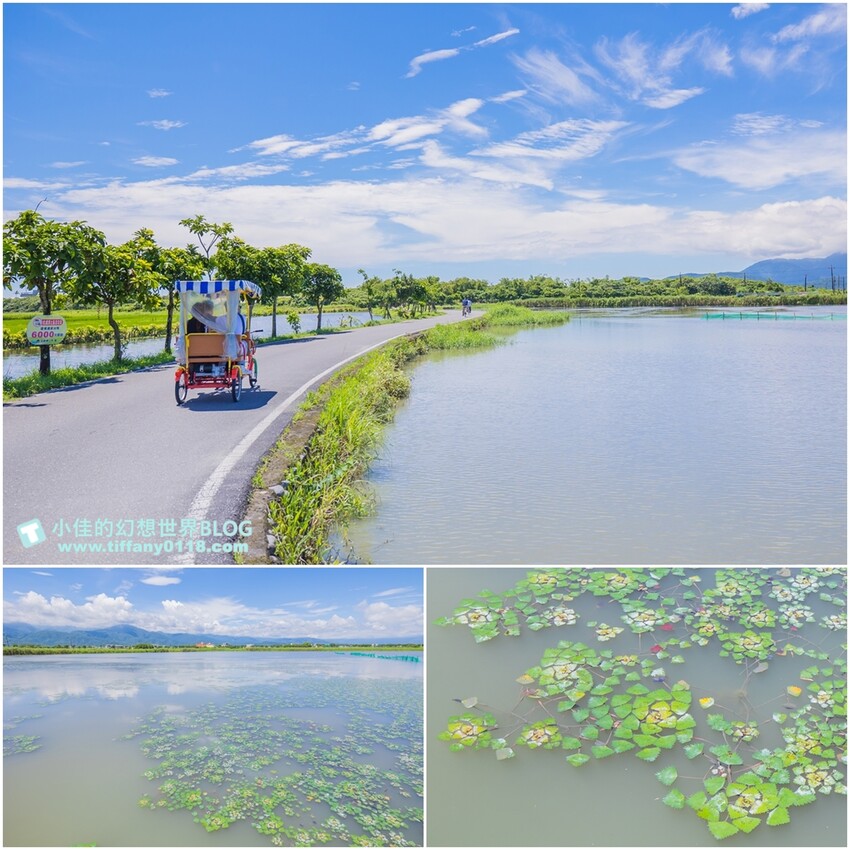 絕美單車路線!期間限定彩繪稻田、夏日煙花、荷葉飯DIY