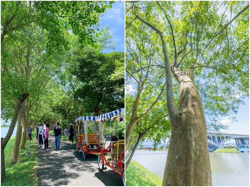 絕美單車路線!期間限定彩繪稻田、夏日煙花、荷葉飯DIY