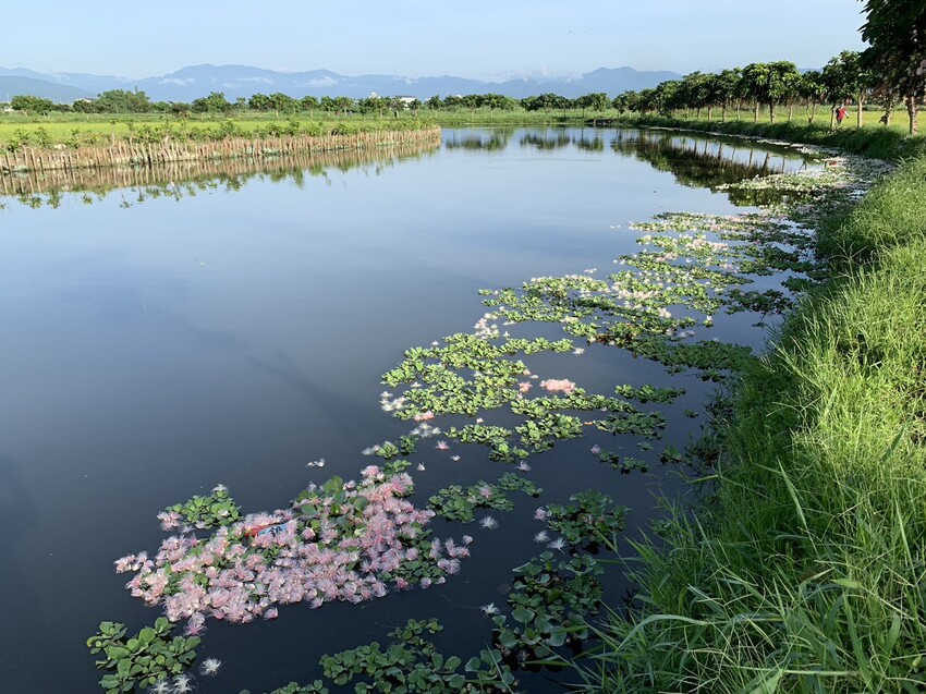 絕美單車路線!期間限定彩繪稻田、夏日煙花、荷葉飯DIY
