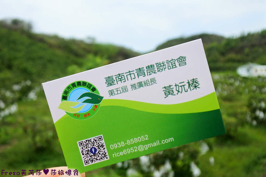 台南旅遊【山中的繽紛奇遇記│探索西拉雅文化】玉井芒果冰超沁涼＆左鎮老街DIY雪花糬喝咖啡│溫噹噹果園│熱情小子芒果冰│DIY絲絡刷刷棒│天埔社區風味餐│沐重光珈琲 - Fresa芙芮莎♥莎旅憶食