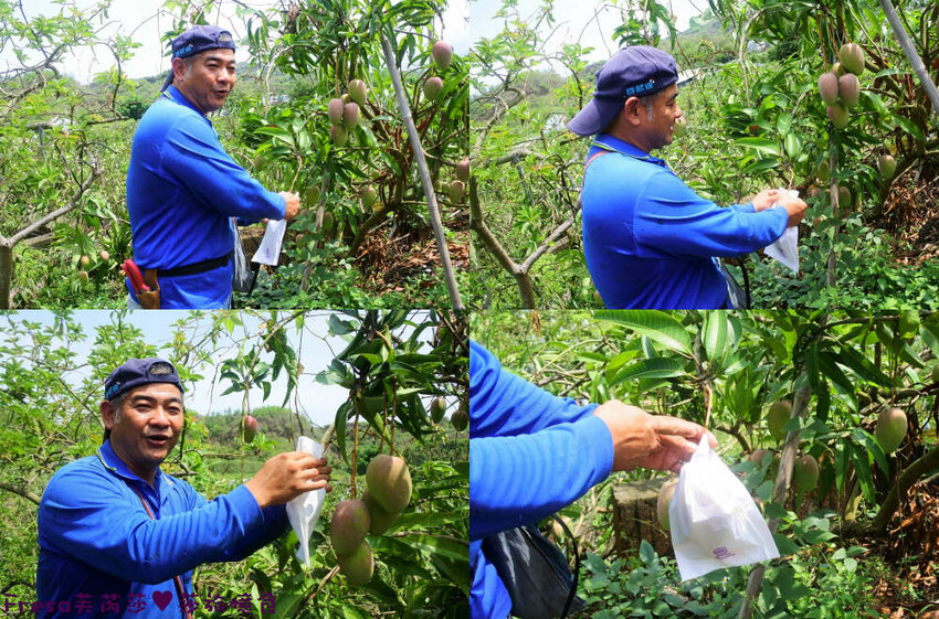 台南旅遊【山中的繽紛奇遇記│探索西拉雅文化】玉井芒果冰超沁涼＆左鎮老街DIY雪花糬喝咖啡│溫噹噹果園│熱情小子芒果冰│DIY絲絡刷刷棒│天埔社區風味餐│沐重光珈琲 - Fresa芙芮莎♥莎旅憶食