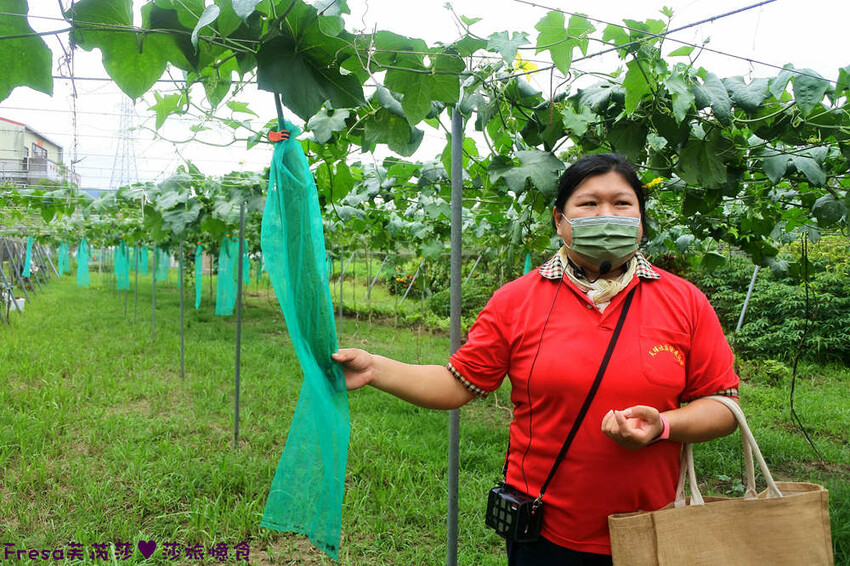 台南旅遊【山中的繽紛奇遇記│探索西拉雅文化】玉井芒果冰超沁涼＆左鎮老街DIY雪花糬喝咖啡│溫噹噹果園│熱情小子芒果冰│DIY絲絡刷刷棒│天埔社區風味餐│沐重光珈琲 - Fresa芙芮莎♥莎旅憶食