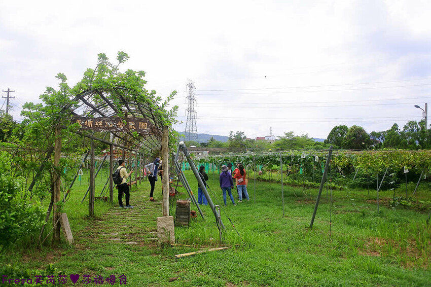 台南旅遊【山中的繽紛奇遇記│探索西拉雅文化】玉井芒果冰超沁涼＆左鎮老街DIY雪花糬喝咖啡│溫噹噹果園│熱情小子芒果冰│DIY絲絡刷刷棒│天埔社區風味餐│沐重光珈琲 - Fresa芙芮莎♥莎旅憶食