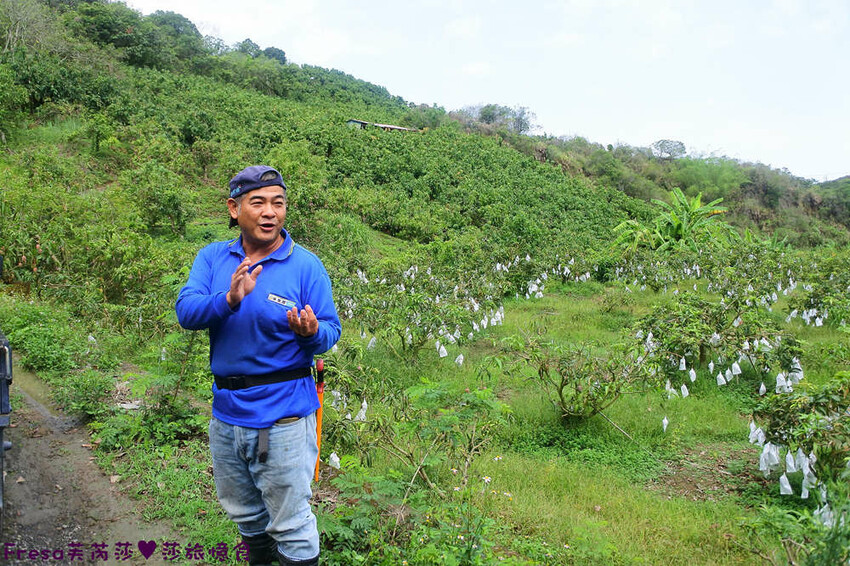 台南旅遊【山中的繽紛奇遇記│探索西拉雅文化】玉井芒果冰超沁涼＆左鎮老街DIY雪花糬喝咖啡│溫噹噹果園│熱情小子芒果冰│DIY絲絡刷刷棒│天埔社區風味餐│沐重光珈琲 - Fresa芙芮莎♥莎旅憶食