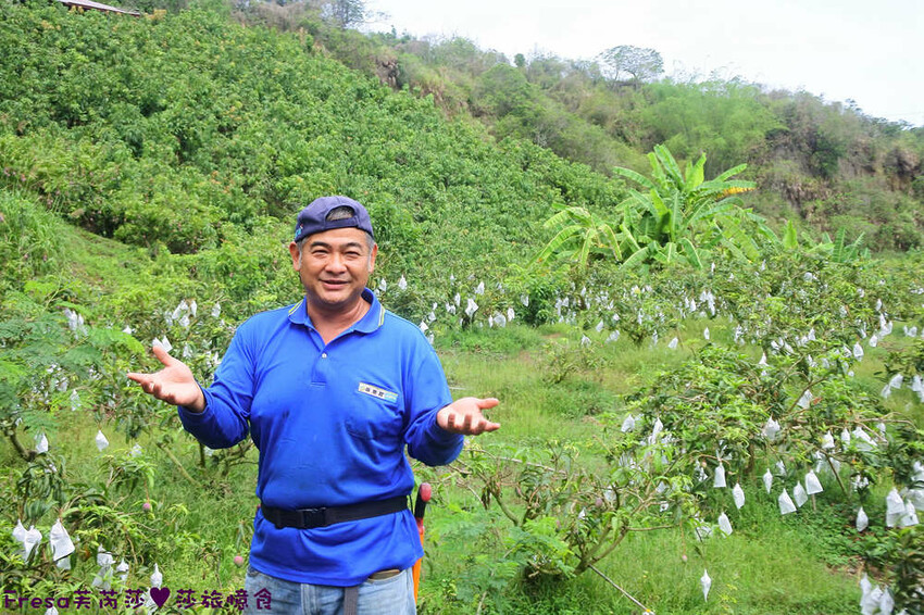 台南旅遊【山中的繽紛奇遇記│探索西拉雅文化】玉井芒果冰超沁涼＆左鎮老街DIY雪花糬喝咖啡│溫噹噹果園│熱情小子芒果冰│DIY絲絡刷刷棒│天埔社區風味餐│沐重光珈琲 - Fresa芙芮莎♥莎旅憶食