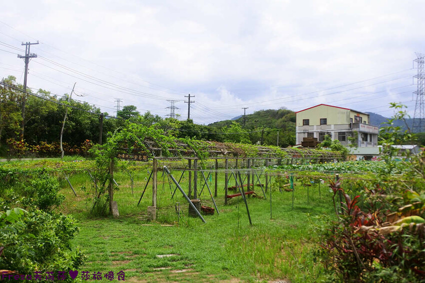 台南旅遊【山中的繽紛奇遇記│探索西拉雅文化】玉井芒果冰超沁涼＆左鎮老街DIY雪花糬喝咖啡│溫噹噹果園│熱情小子芒果冰│DIY絲絡刷刷棒│天埔社區風味餐│沐重光珈琲 - Fresa芙芮莎♥莎旅憶食