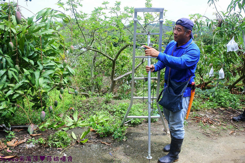 台南旅遊【山中的繽紛奇遇記│探索西拉雅文化】玉井芒果冰超沁涼＆左鎮老街DIY雪花糬喝咖啡│溫噹噹果園│熱情小子芒果冰│DIY絲絡刷刷棒│天埔社區風味餐│沐重光珈琲 - Fresa芙芮莎♥莎旅憶食
