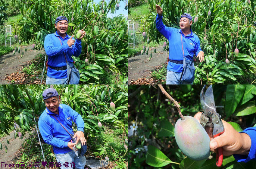 台南旅遊【山中的繽紛奇遇記│探索西拉雅文化】玉井芒果冰超沁涼＆左鎮老街DIY雪花糬喝咖啡│溫噹噹果園│熱情小子芒果冰│DIY絲絡刷刷棒│天埔社區風味餐│沐重光珈琲 - Fresa芙芮莎♥莎旅憶食