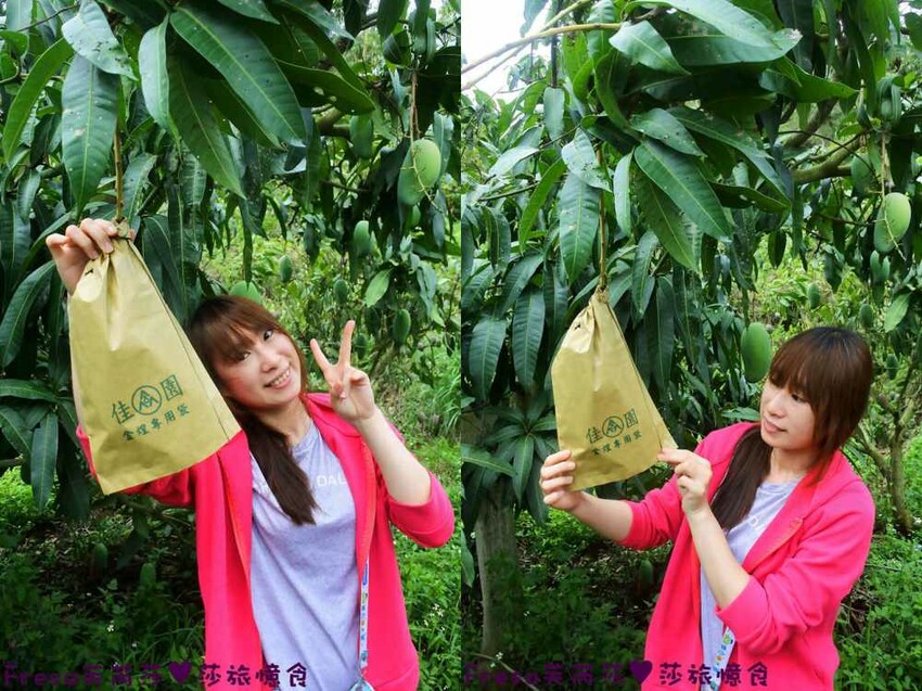 台南旅遊【山中的繽紛奇遇記│探索西拉雅文化】玉井芒果冰超沁涼＆左鎮老街DIY雪花糬喝咖啡│溫噹噹果園│熱情小子芒果冰│DIY絲絡刷刷棒│天埔社區風味餐│沐重光珈琲 - Fresa芙芮莎♥莎旅憶食