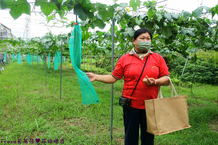 台南旅遊【山中的繽紛奇遇記│探索西拉雅文化】玉井芒果冰超沁涼＆左鎮老街DIY雪花糬喝咖啡│溫噹噹果園│熱情小子芒果冰│DIY絲絡刷刷棒│天埔社區風味餐│沐重光珈琲 - Fresa芙芮莎♥莎旅憶食
