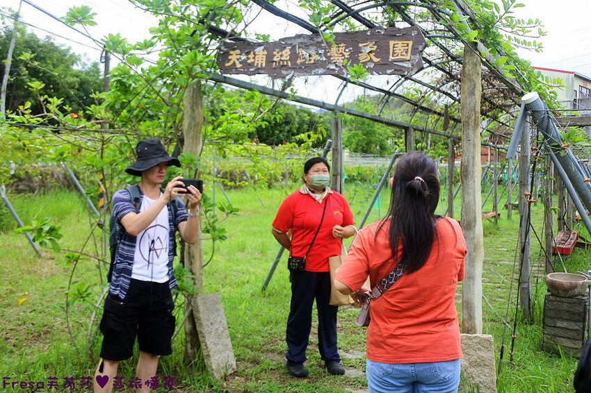 台南旅遊【山中的繽紛奇遇記│探索西拉雅文化】玉井芒果冰超沁涼＆左鎮老街DIY雪花糬喝咖啡│溫噹噹果園│熱情小子芒果冰│DIY絲絡刷刷棒│天埔社區風味餐│沐重光珈琲 - Fresa芙芮莎♥莎旅憶食