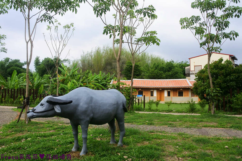 台南旅遊【山中的繽紛奇遇記│探索西拉雅文化】玉井芒果冰超沁涼＆左鎮老街DIY雪花糬喝咖啡│溫噹噹果園│熱情小子芒果冰│DIY絲絡刷刷棒│天埔社區風味餐│沐重光珈琲 - Fresa芙芮莎♥莎旅憶食