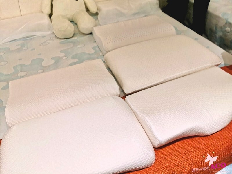 寢具:【台北床墊推薦】床墊超市 新店旗艦店 可折疊床墊 電動床推薦31 寢具:【台北床墊推薦】床墊超市 新店旗艦店 可折疊床墊 電動床推薦31