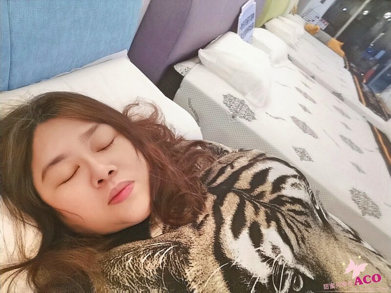 寢具:【台北床墊推薦】床墊超市 新店旗艦店 可折疊床墊 電動床推薦9 寢具:【台北床墊推薦】床墊超市 新店旗艦店 可折疊床墊 電動床推薦9