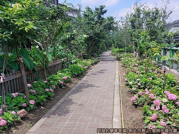 黎明步道花園10-花期已是後半段.jpg