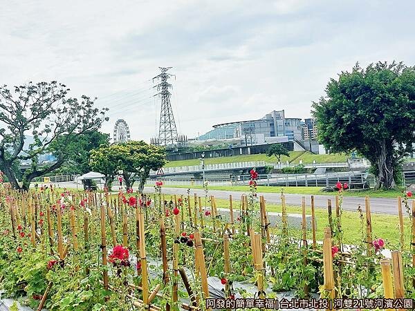 河雙21號河濱公園09-蜀葵花之森往兒童新樂園方向視角.jpg 河雙21號河濱公園09-蜀葵花之森往兒童新樂園方向視角.jpg
