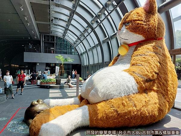 吉刻市集07-巨大胖貓橘貓重重.jpg