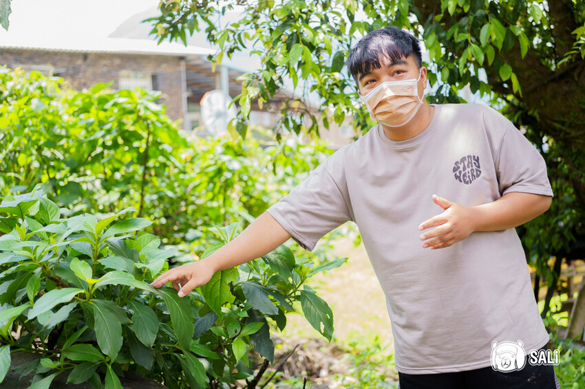 屏東霧台神山部落一日遊｜體驗魯凱族傳統手工藝，廚藝學校，部落巡禮