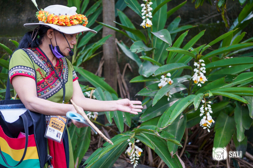 屏東霧台神山部落一日遊｜體驗魯凱族傳統手工藝，廚藝學校，部落巡禮