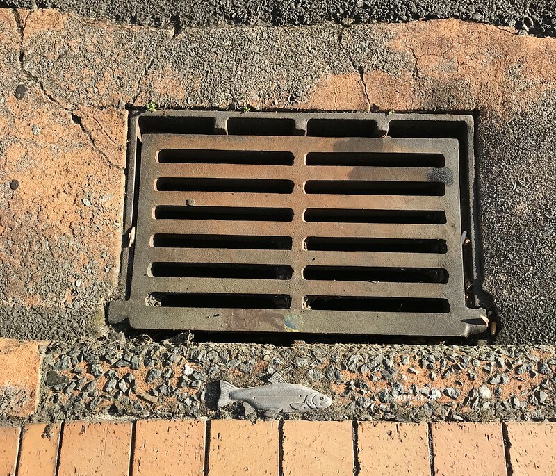 【2019紐西蘭。春遊南北島】想打滾的大草皮 vs 湖邊的地熱景像．市政公園 Government Gardens & 硫磺灣野生