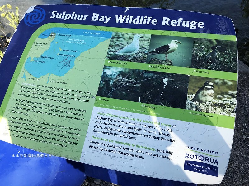 【2019紐西蘭。春遊南北島】想打滾的大草皮 vs 湖邊的地熱景像．市政公園 Government Gardens & 硫磺灣野生