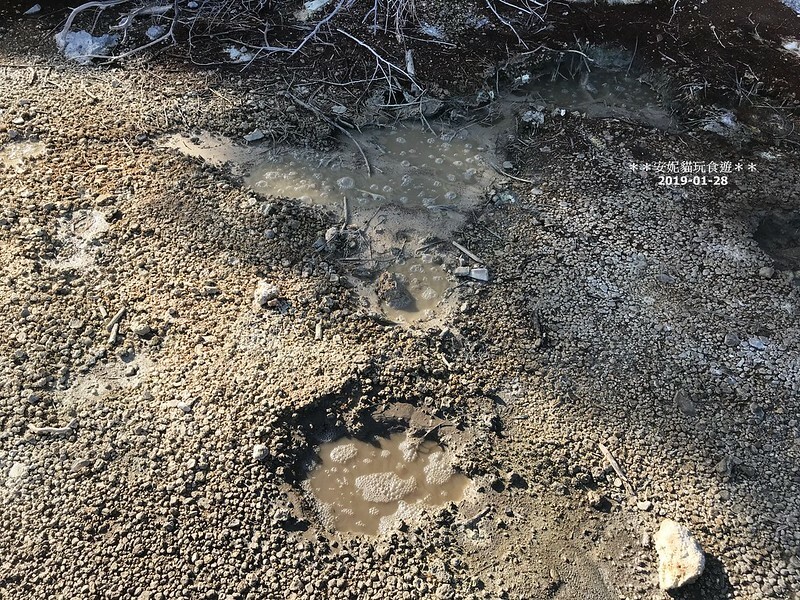 【2019紐西蘭。春遊南北島】想打滾的大草皮 vs 湖邊的地熱景像．市政公園 Government Gardens & 硫磺灣野生