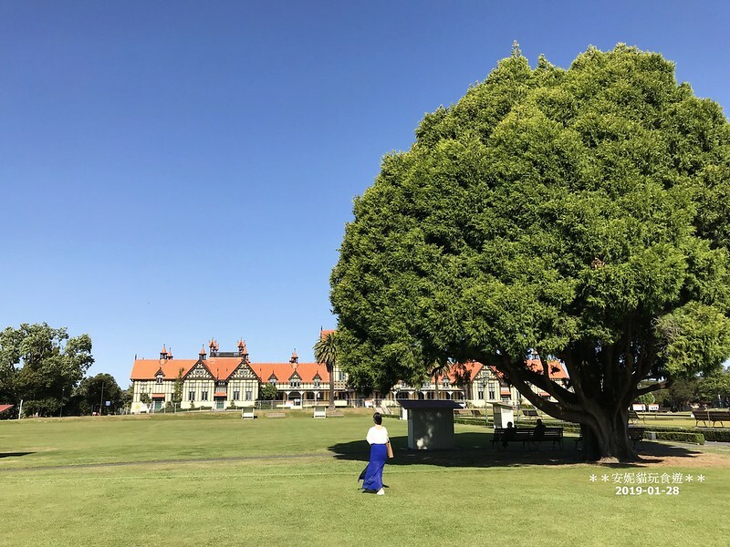 【2019紐西蘭。春遊南北島】想打滾的大草皮 vs 湖邊的地熱景像．市政公園 Government Gardens & 硫磺灣野生