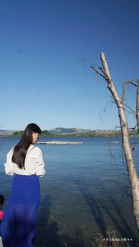 【2019紐西蘭。春遊南北島】想打滾的大草皮 vs 湖邊的地熱景像．市政公園 Government Gardens & 硫磺灣野生