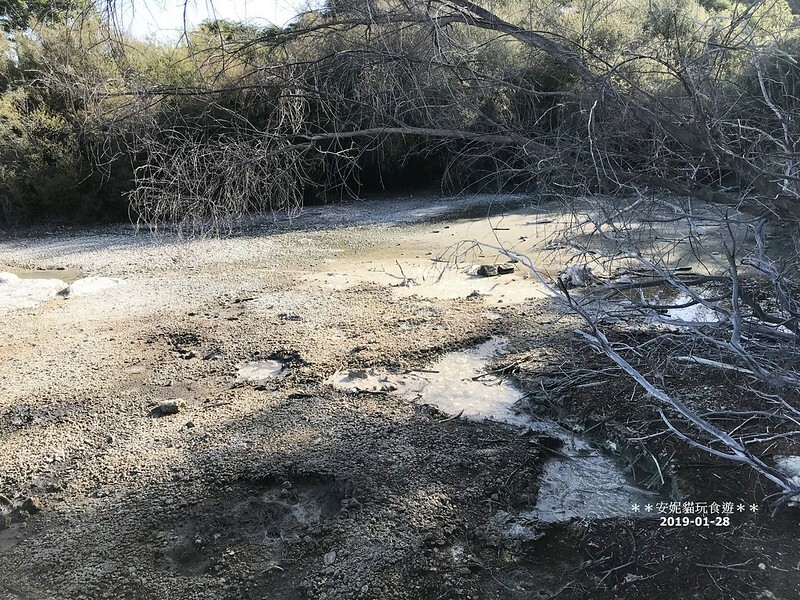 【2019紐西蘭。春遊南北島】想打滾的大草皮 vs 湖邊的地熱景像．市政公園 Government Gardens & 硫磺灣野生