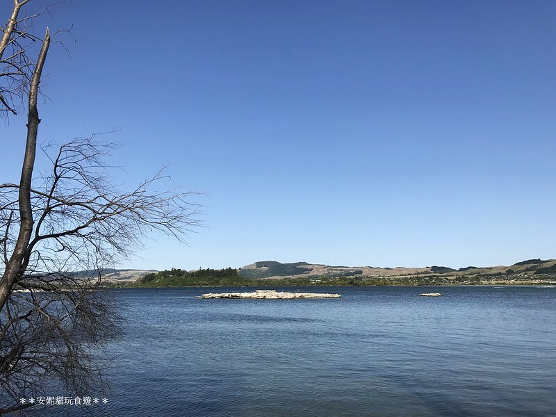 【2019紐西蘭。春遊南北島】想打滾的大草皮 vs 湖邊的地熱景像．市政公園 Government Gardens & 硫磺灣野生