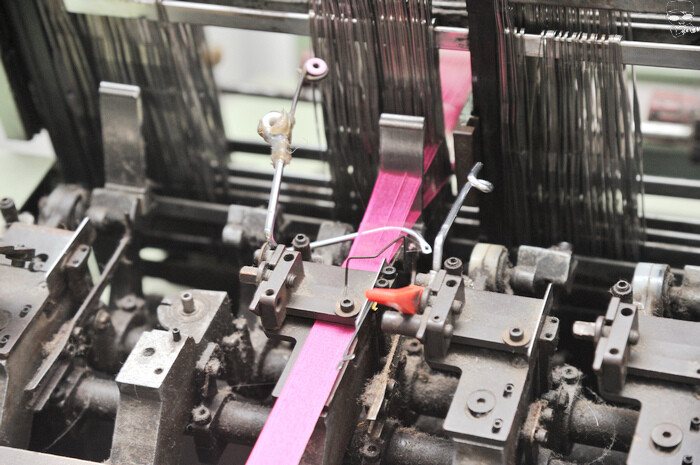 DSC_8251.jpg DSC_8251.jpg