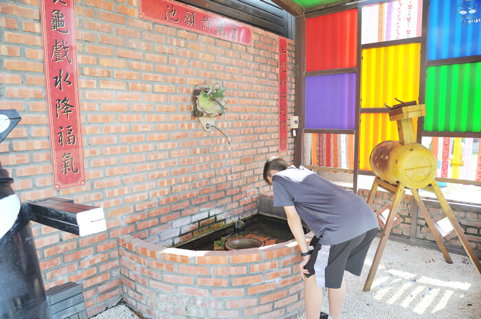 DSC_8311.jpg DSC_8311.jpg