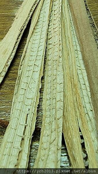 Day3_230225_29二榔皮 完整肉質另有他用.jpg Day3_230225_29二榔皮 完整肉質另有他用.jpg