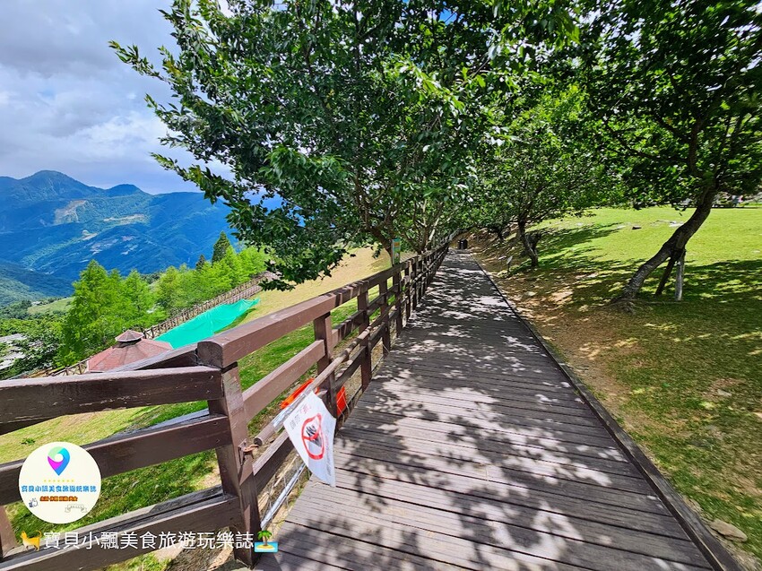 [旅遊]南投 藍天白雲綠草地 愜意賞景郊遊趣 來清境農場與羊咩咩度過愉快的假期吧！
