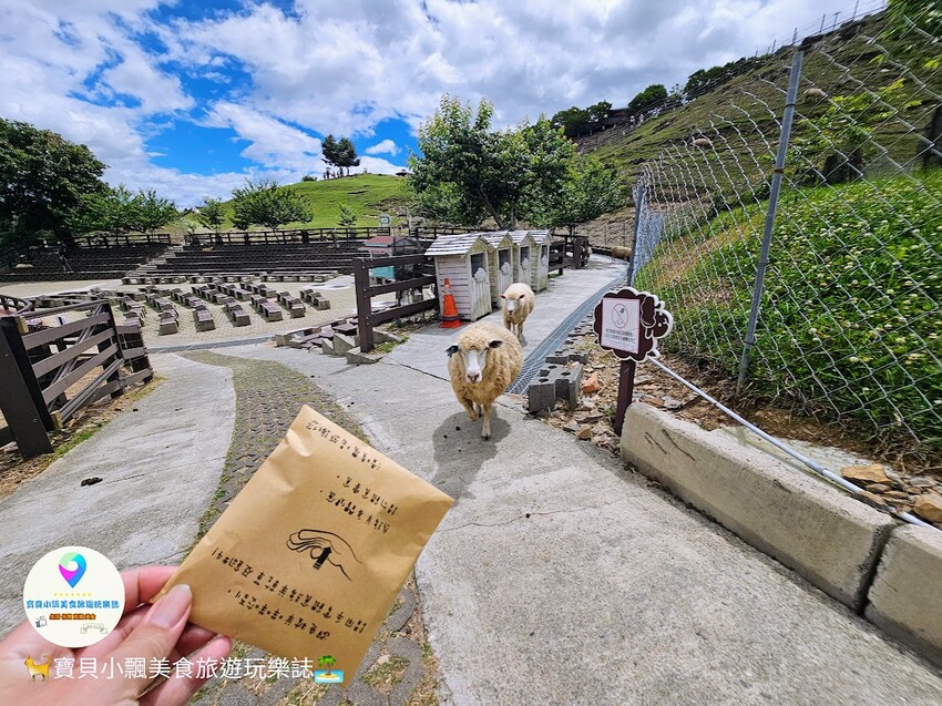 [旅遊]南投 藍天白雲綠草地 愜意賞景郊遊趣 來清境農場與羊咩咩度過愉快的假期吧！