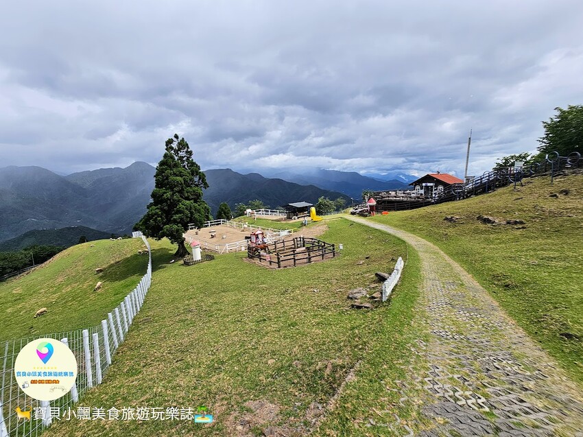 [旅遊]南投 藍天白雲綠草地 愜意賞景郊遊趣 來清境農場與羊咩咩度過愉快的假期吧！