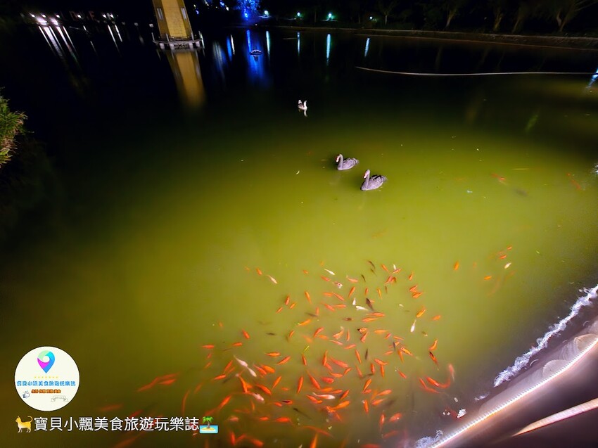 [旅遊]南投 清境 越夜越美麗 漫步小瑞士花園 欣賞夜間音樂水舞秀 夜晚也可以很悠閒