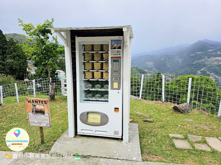 [旅遊]南投 藍天白雲綠草地 愜意賞景郊遊趣 來清境農場與羊咩咩度過愉快的假期吧！