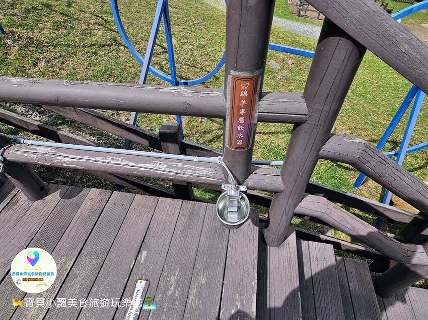 [旅遊]南投 藍天白雲綠草地 愜意賞景郊遊趣 來清境農場與羊咩咩度過愉快的假期吧！