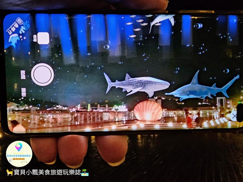 [旅遊]基隆 麗都蝶客花園 免費景點 賞遼闊基隆海港景觀 還可參與 期間限定 體驗免費AR虛擬實境 與鯨鯊共游