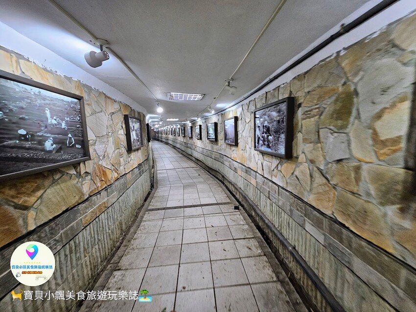 [旅遊]南投 藍天白雲綠草地 愜意賞景郊遊趣 來清境農場與羊咩咩度過愉快的假期吧！