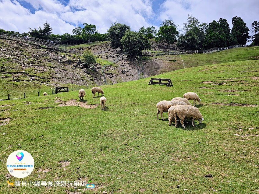 [旅遊]南投 藍天白雲綠草地 愜意賞景郊遊趣 來清境農場與羊咩咩度過愉快的假期吧！