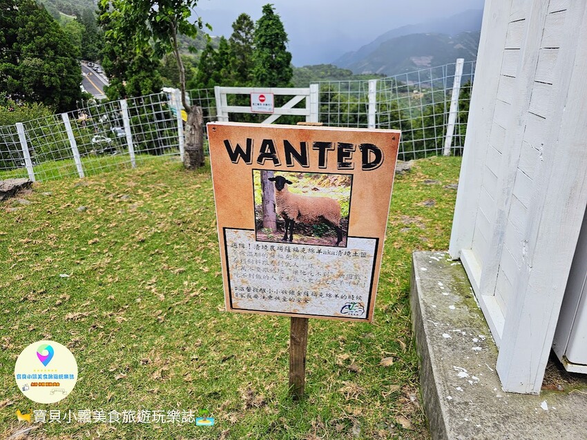 [旅遊]南投 藍天白雲綠草地 愜意賞景郊遊趣 來清境農場與羊咩咩度過愉快的假期吧！
