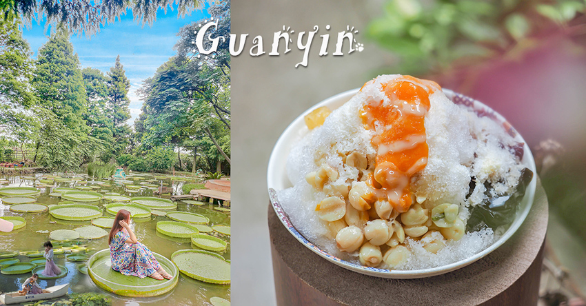 桃園蓮花季 蓮荷園 新增免費大王蓮  隱藏版荷葉飄香茶 蓮子冰消暑氣