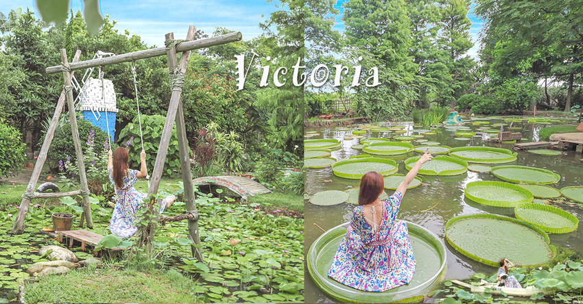 桃園蓮花季 蓮荷園 新增免費大王蓮  隱藏版荷葉飄香茶 蓮子冰消暑氣