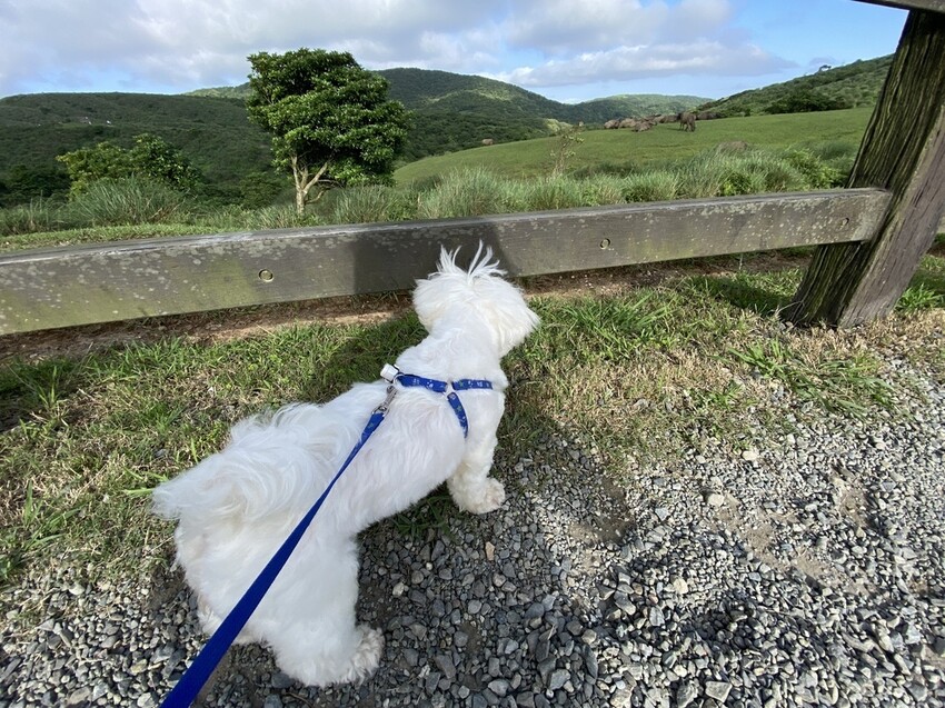 IMG_8385.JPG IMG_8385.JPG