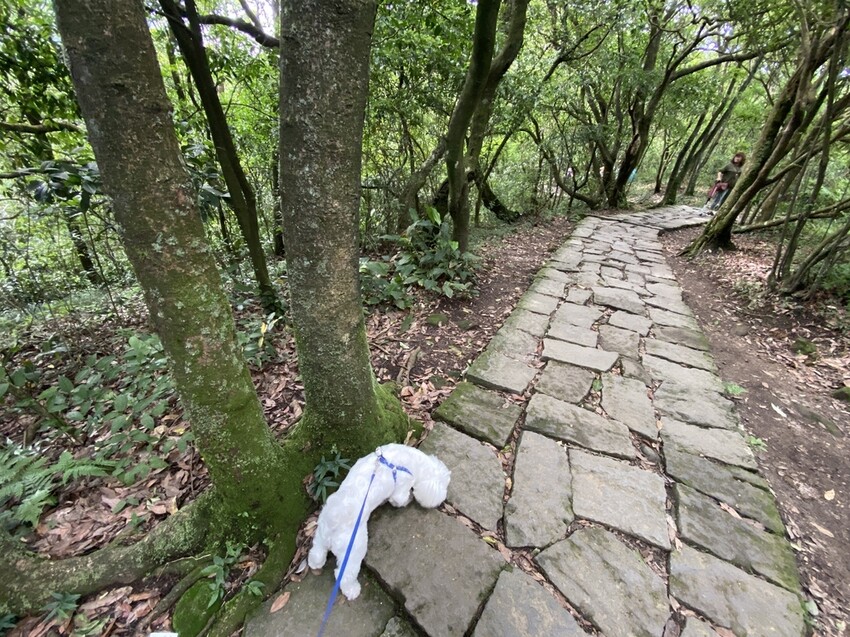 IMG_8324.JPG IMG_8324.JPG