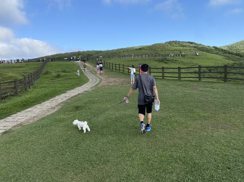 IMG_8368.JPG IMG_8368.JPG