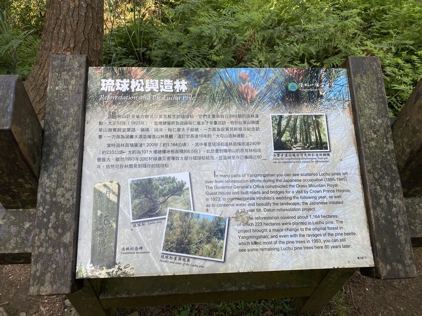 IMG_8339.JPG IMG_8339.JPG